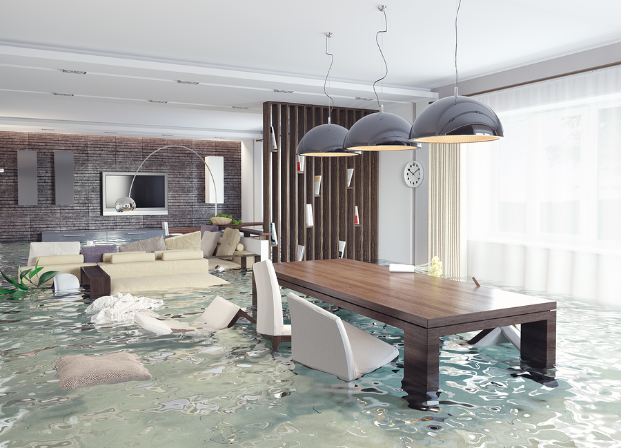 home water damage restoration in Tampa